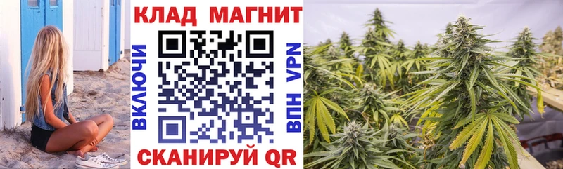 Купить закладку Экстази Амфетамин МЕФ Гашиш Каменногорск