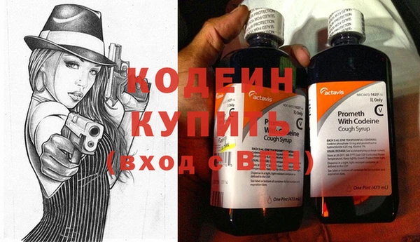 дурь Инсар