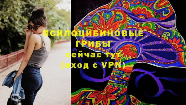 дурь Инсар