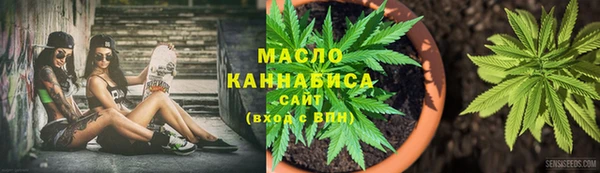дурь Инсар