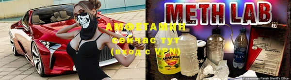 дурь Инсар