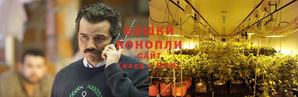 дурь Инсар