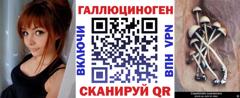 Купить где  Каменногорск  Псилоцибиновые грибы Psilocybe 